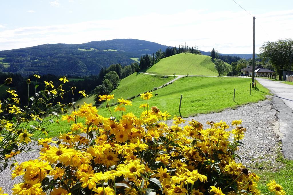 Ferienwohnungen Perhofer Birkfeld Esterno foto