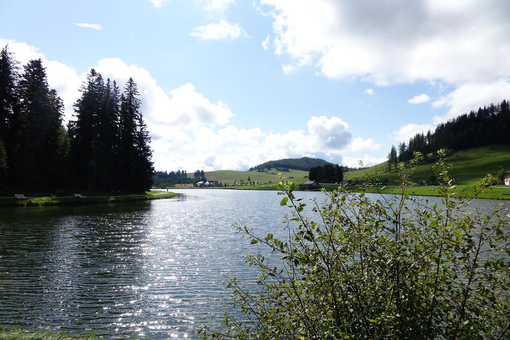 Ferienwohnungen Perhofer Birkfeld Esterno foto