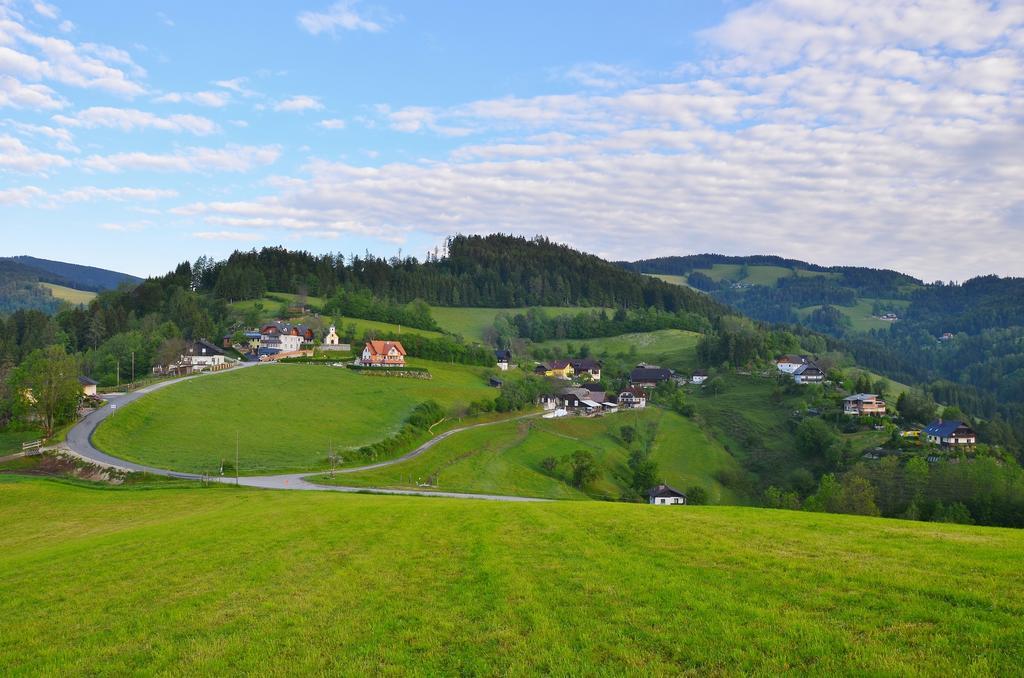 Ferienwohnungen Perhofer Birkfeld Esterno foto